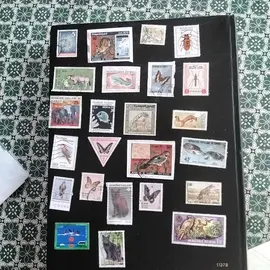 donne timbres collection étrangers annimaux