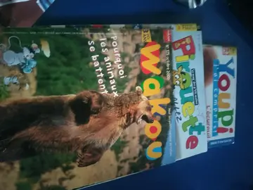 Lot livres