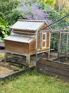 un poulailler et ses 2 poules