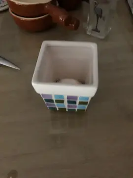 petit pot de fleurs
