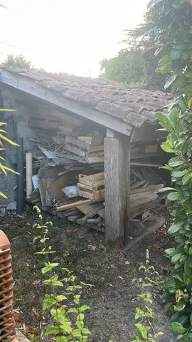 divers bois : planches, petit bois sarments pour cheminée