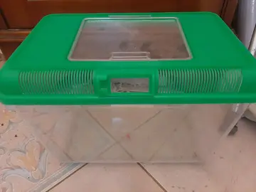 aquarium plastique