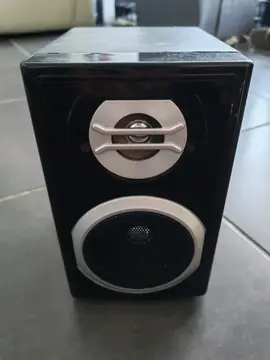 Enceinte fonctionnelle branchement jack
