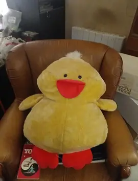 grosse peluche
