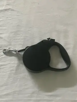 laisse pour chien