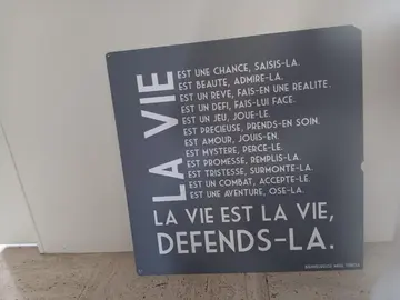 Panneau en carton gris La vie