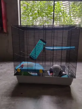 2 cages rongeurs