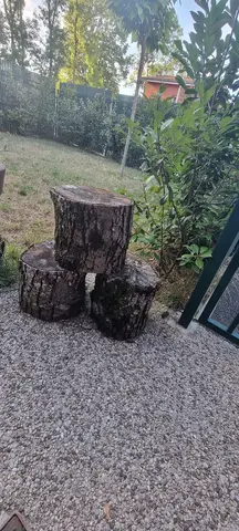 6 troncs d'arbre