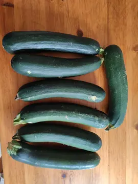 7 courgettes d environ 20 cm chacune