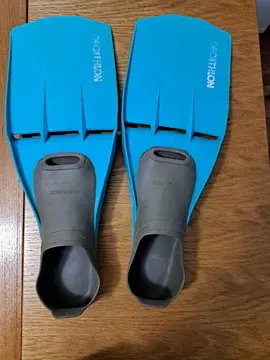 paire de palmes taille 37-38