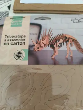dinosaures en carton