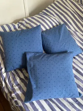 3 jolis coussins bleus