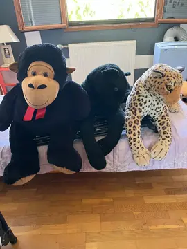 grosses peluches