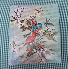 Album photos pour recyclage