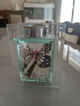 décoration papillon bougie
