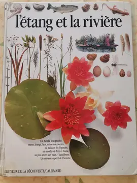 Livre documentaire jeunesse ou autre