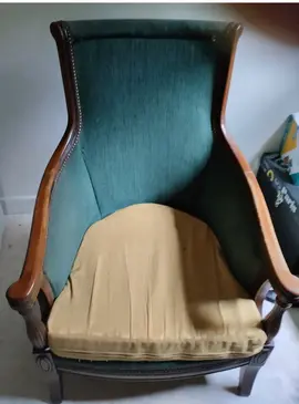 fauteuil vert de salon