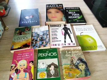 Lot de livres