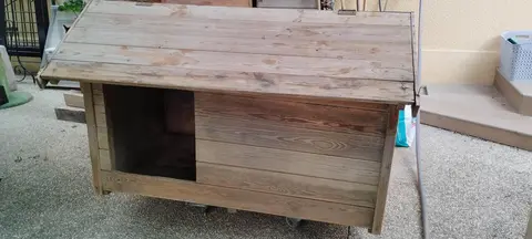 Niche de chien