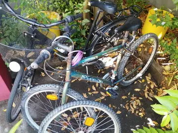 très vieux vélos