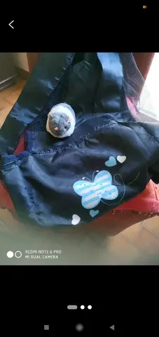 1 souris vibrante et un petit lit poupée SS armature