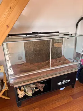 terrarium 120x50x60