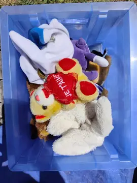 Lot de peluche et doudou