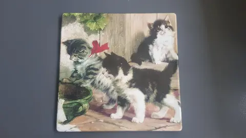 Dessous de plat motif chatons