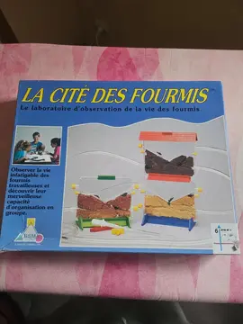 Jeux La cité de fourmis