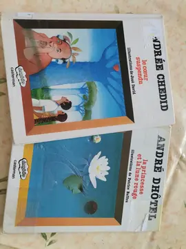 Livre enfant de contes ou album illustré