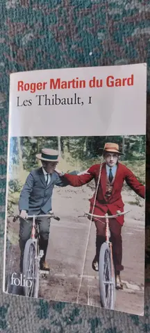 livre roman