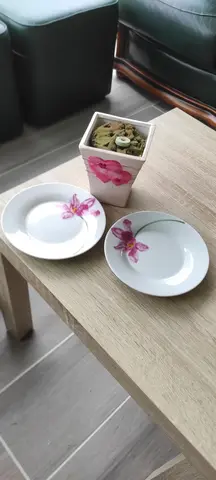 vase rose avec mousse