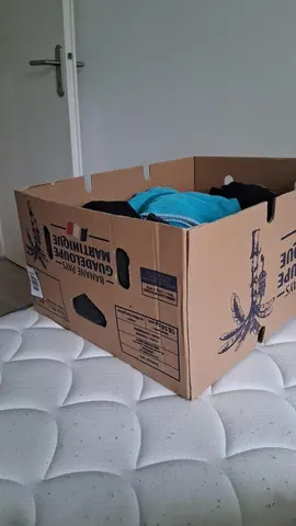 cartons déménagement