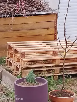 palettes dites perdu