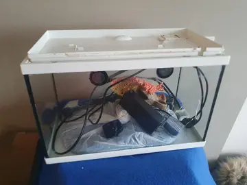 Aquarium à poisson