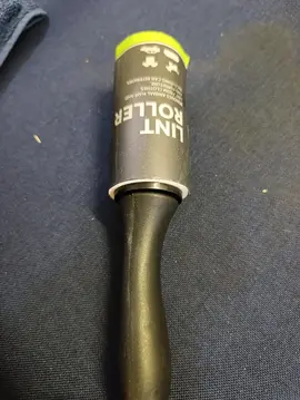 Brosse à poil jetable