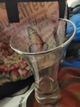 coupe glace