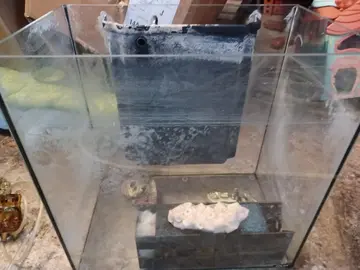 aquarium et accessoires