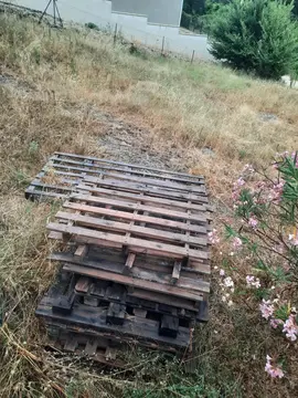Donne 10 palettes environ