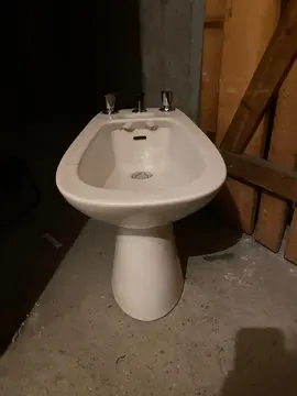 bidet