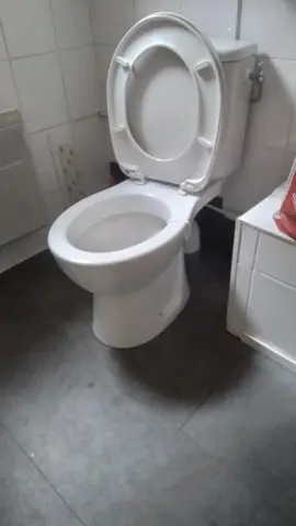 toilette démontée