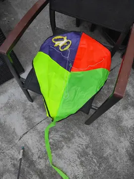 Cerf volant