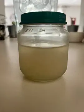 kefir de fruit