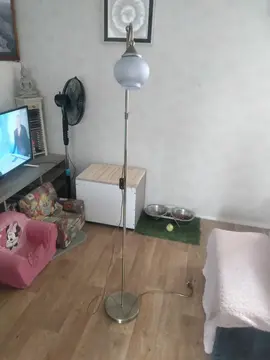 lampe d'appoint