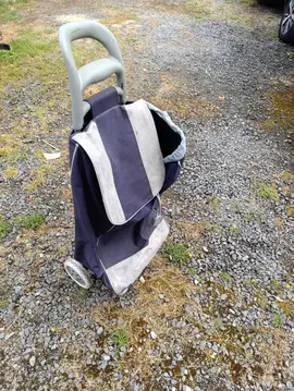 caddie