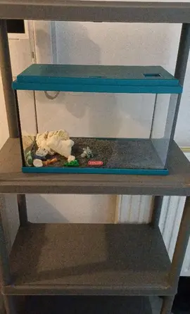Aquarium