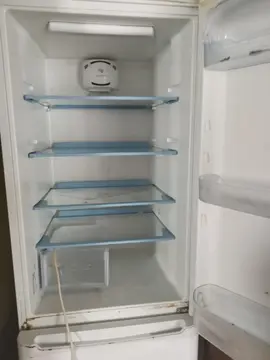 frigo