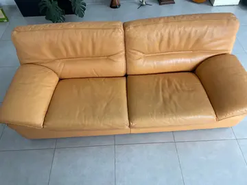 canapé roche bobois
