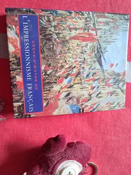 mini livre