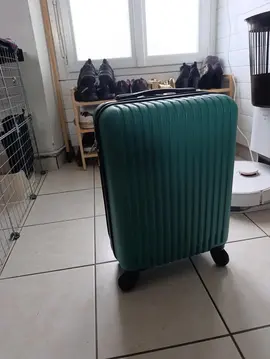 Valise cabine